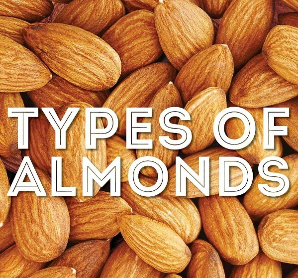 Types Of Almonds