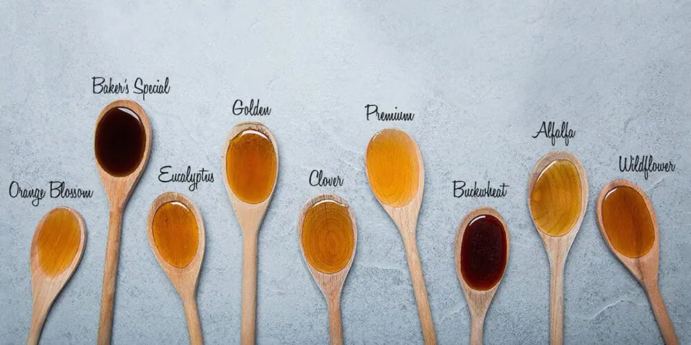 Types Of Honey