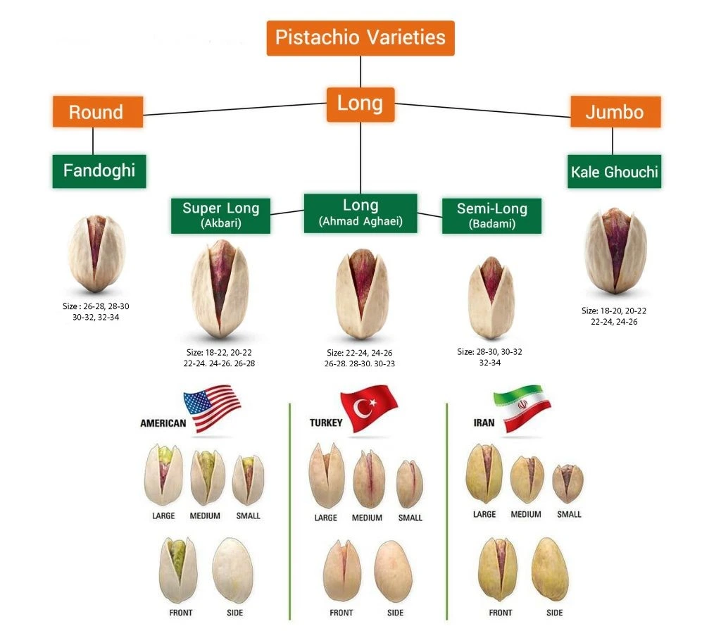 Types Of Pistachio